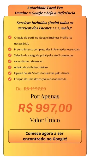google meu negócio 997 Google meu negócio pacote 03
